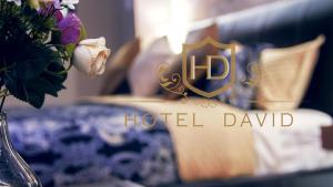 Hotel David