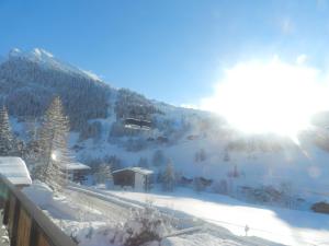 Hotels Chalet-Hotel du Borderan : photos des chambres