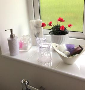 Deluxe Double or Twin Room with Garden View room in Meadow Lodge