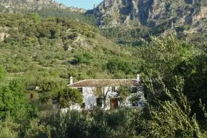Betania - Grazalema