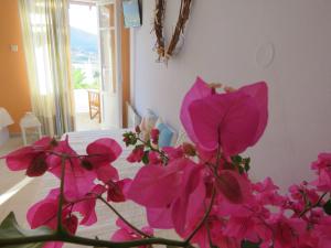 Korali apartments Syros Greece