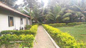 Friends Paradise