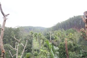 Isuru Homestay
