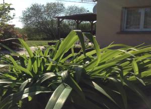 Ferienhaus Gîte Les Tourbières Belmont Belmont Frankreich