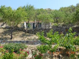 Stone cottage for couple Limnos Greece