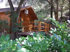 Camping Alivetu photo 18
