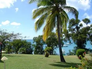 Little Paradise - 圣安娜