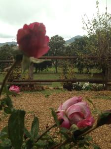 Apartamentos Rurales En Plena Sierra