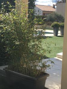 Sainte Maxime 4 pièces