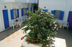 Poseidon Studios Amorgos Greece