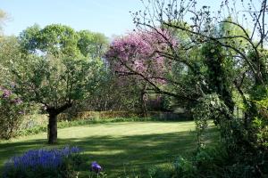 B&B / Chambres d'hotes Les Jardins de Camelot : photos des chambres