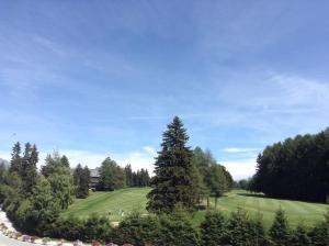 appartamento Melezes