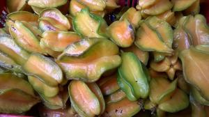 Hotel Ecológico Tierra Blanca