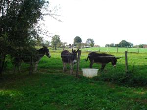 Sejours a la campagne Chateau de Villeron : photos des chambres