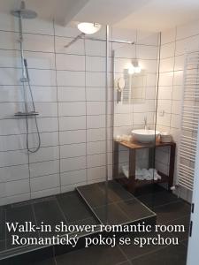 Double Room room in Olivin Kytlice