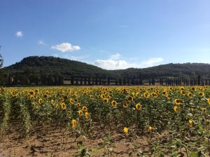 Agriturismo Bio Fattoria di Pietra