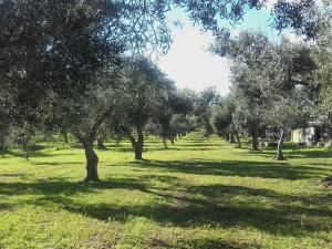 Agriturismo Sa Ruda img21