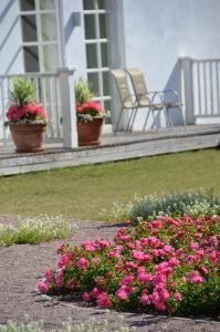 Superior Double or Twin Room room in Sagadi Manor Hotel