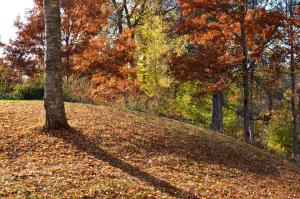 Mullsjö Folkhögskola