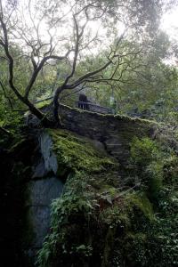 Piódão Casa do Rosmaninho TER