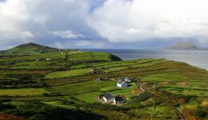 The Garden Room at Sleepy Hollow