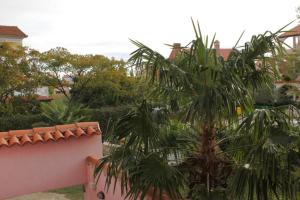 One-Bedroom Apartment with Terrace room in Family friendly apartments with a swimming pool Rovinj - 3394