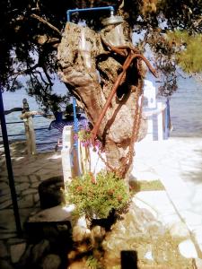 Agyrovoli Bungalow Thassos Greece