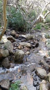 Il giardino all'angolo img23
