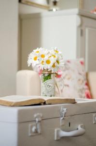 Cozy Studio Una