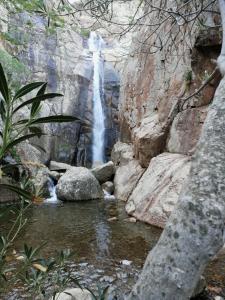 Il giardino all'angolo img13