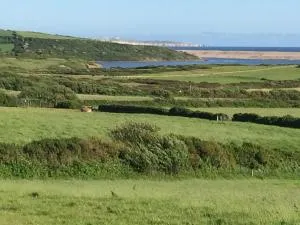 Tidmoor Farm Vegetarian B&B - Chickerell
