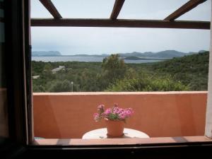 Bilocale Ginestre - Costa Smeralda img6