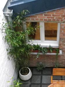 Maisons de vacances Gite Mosaique : photos des chambres