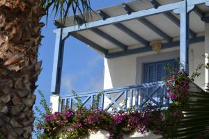 Maistrali Studios Andros Greece