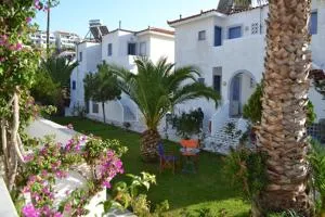 Maistrali Studios - Баці