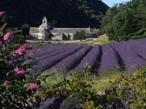 B&B / Chambres d'hotes Les Cerises : photos des chambres