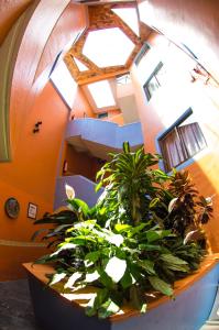 Hotel posada casa regia