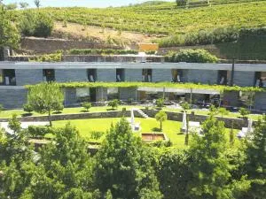 Quinta do Vallado - Douro Wine Hotel - 皮尼昂