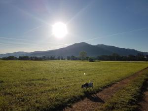 Ferienwohnung am Siegelbächle