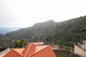 Lobos Rustic House II