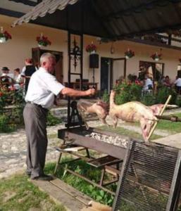 Pension Steaua Ariesului