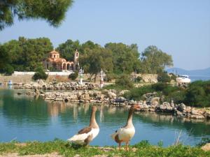 Villa Popi Argolida Greece