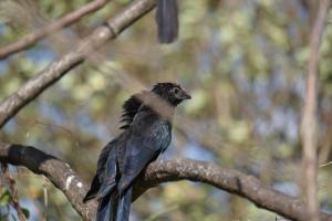 Hostal y Restaurante Rancho Merida