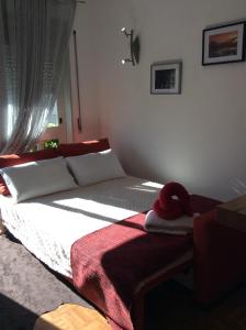 Downtown Sunny Apartment