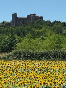 Maisons de vacances XIXe Provencal Stone House with Private Pool : photos des chambres