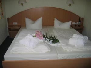 Hotel Goldener Karpfen