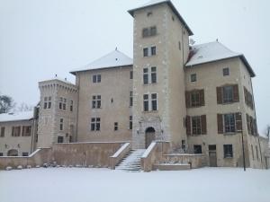 Appart'hotels Tempologis - Chateau de la Rochette : photos des chambres