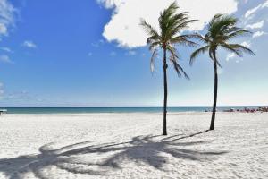 Steps from the ocean Trendy Loft UNIT 6