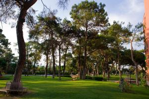 The Norm Oriental Kemer