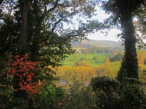 B&B / Chambres d'hotes Le Manoir sur la Roche : photos des chambres